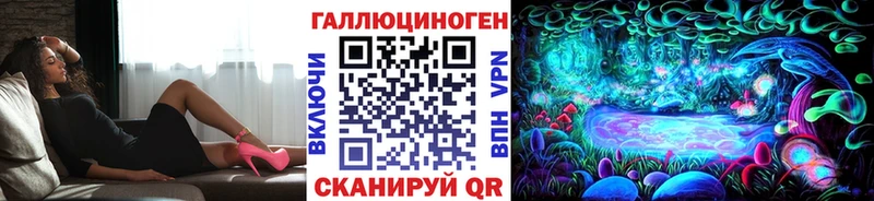где продают Димитровград Псилоцибиновые грибы прущие грибы