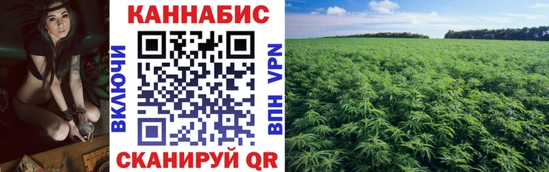 Канабис индика  Димитровград 